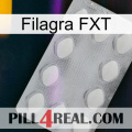 Filagra FXT 16